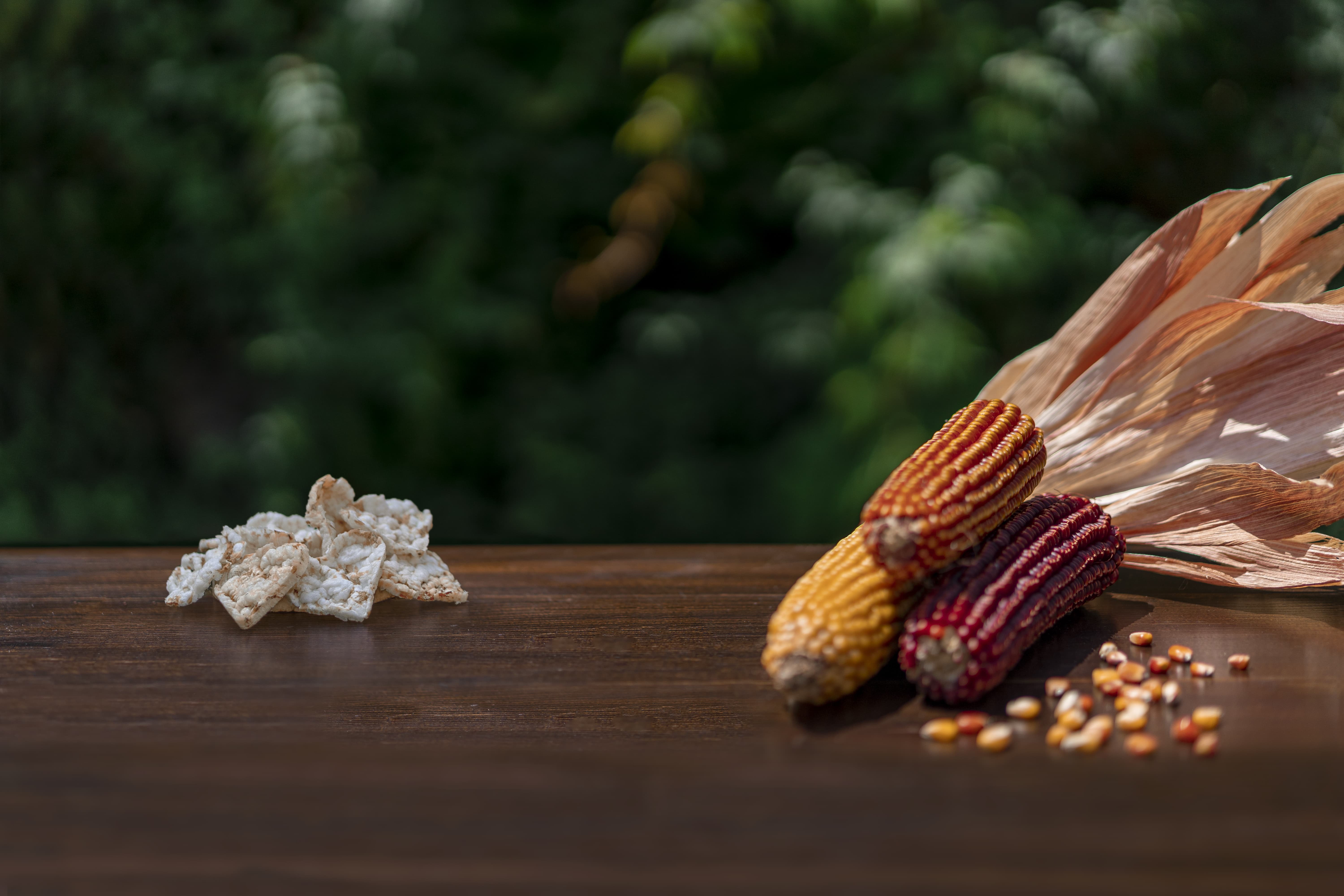 FARINA MAIS RISO MOLINO BORRA